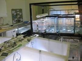 Amphibian Propagation Center