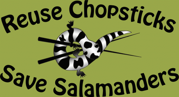 Chopsticks for Salamanders