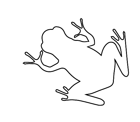 Frog outline