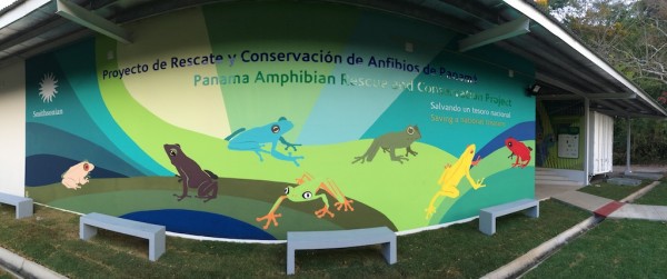 Gamboa Amphibian Research and Conservation Center