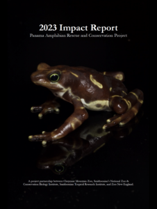 Impact report amphibian conservation in Panama 2023