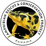 Panama Amphibian Rescue and Conservation Project Logo