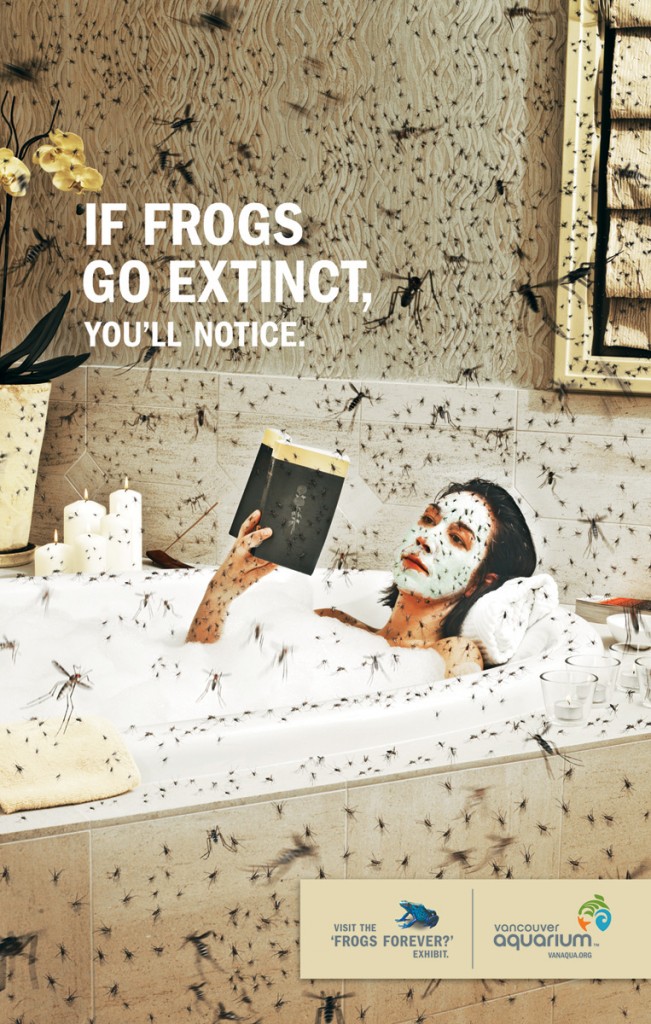 vancouver_frogs-651x1024