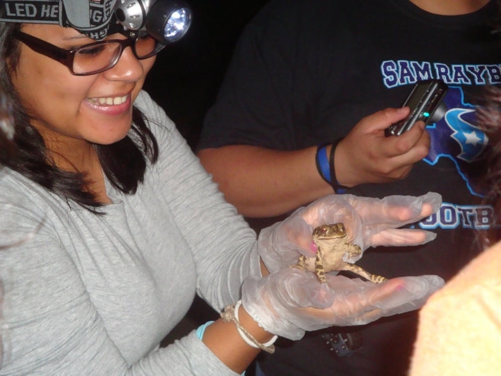 Houston Zoo's Toad Tracker program
