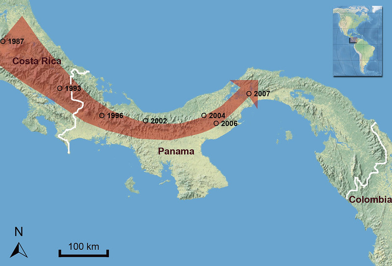 Chytrid spread in panama