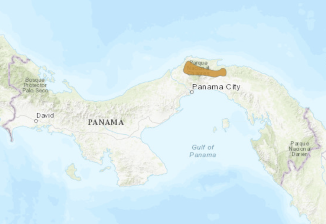 Limosa harlequin frog range map