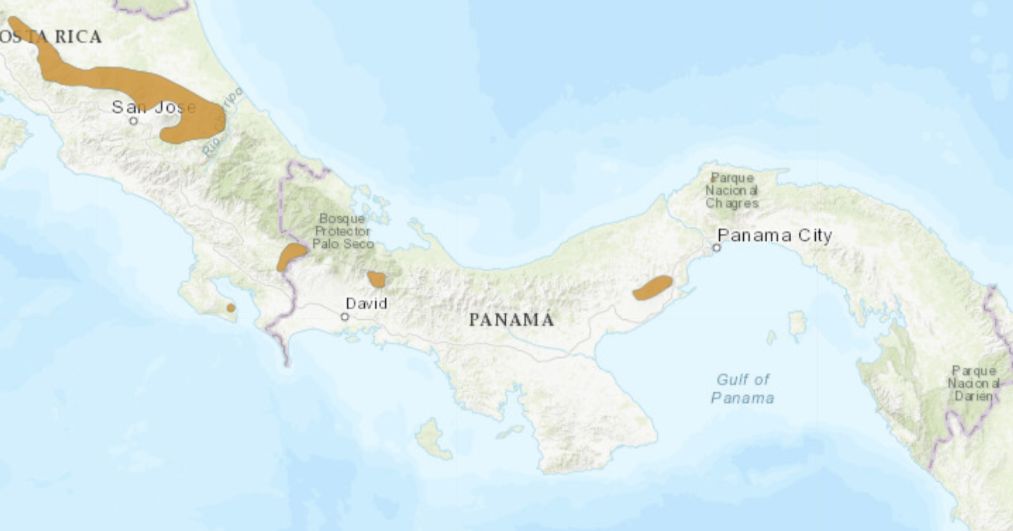 Distribution map of lemur leaf frogs